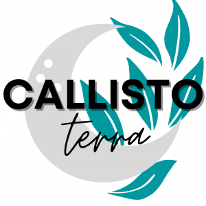 Callisto Terra 300x300